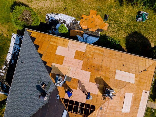 Best Gutter Installation and Roofing  in Dayton, IN